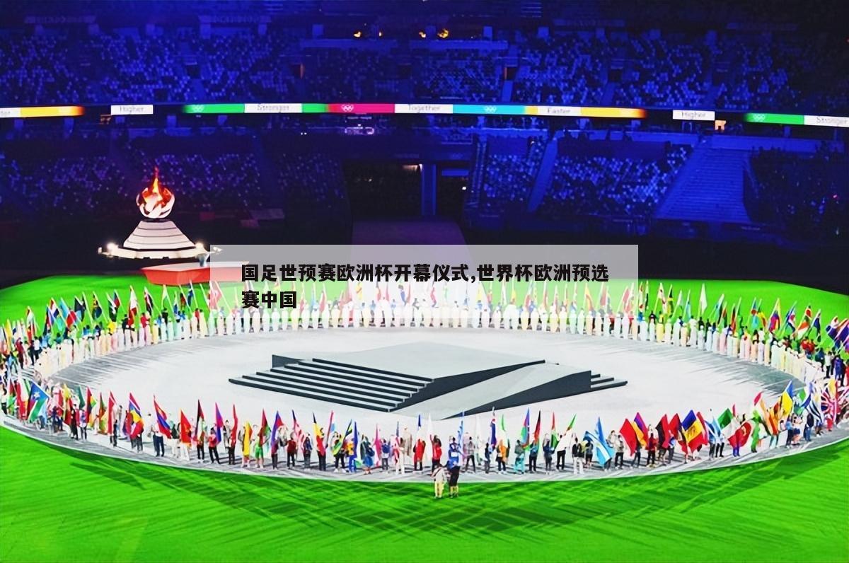 国足世预赛欧洲杯开幕仪式,世界杯欧洲预选赛中国